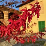 Gasthuis Acero Rosso Moncalvo