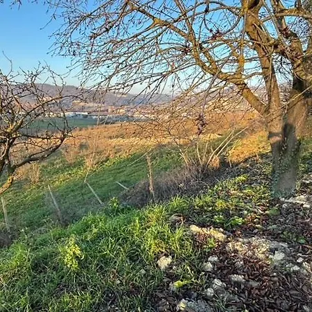 Acero Rosso Konukevi Moncalvo