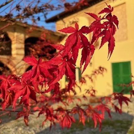 بيت ضيافة Acero Rosso مونكالفو