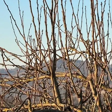 بيت ضيافة Acero Rosso 3*