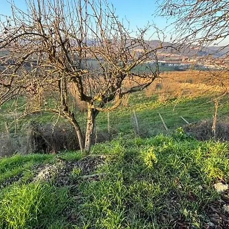 Pensionat Acero Rosso