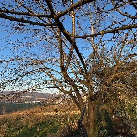 بيت ضيافة Acero Rosso