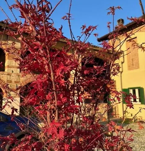 Guest house Acero Rosso 3*