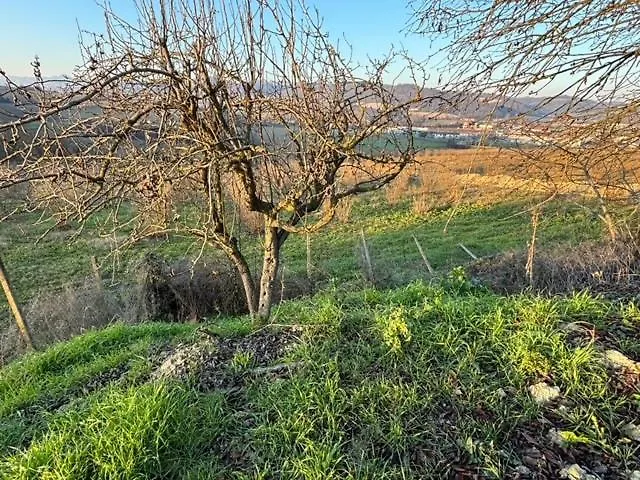 Gasthof Acero Rosso