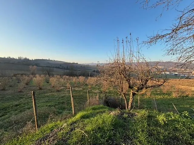 Acero Rosso Moncalvo